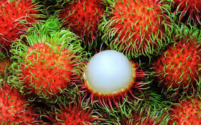 rambutan,list10,exotic asian fruits